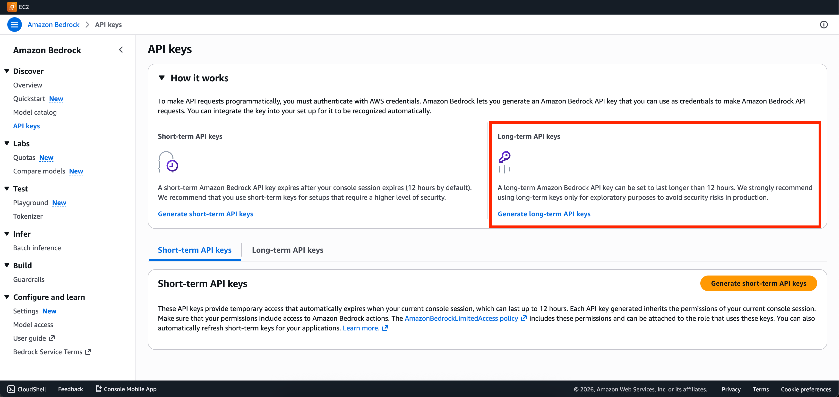 AWS Bedrock API Key settings