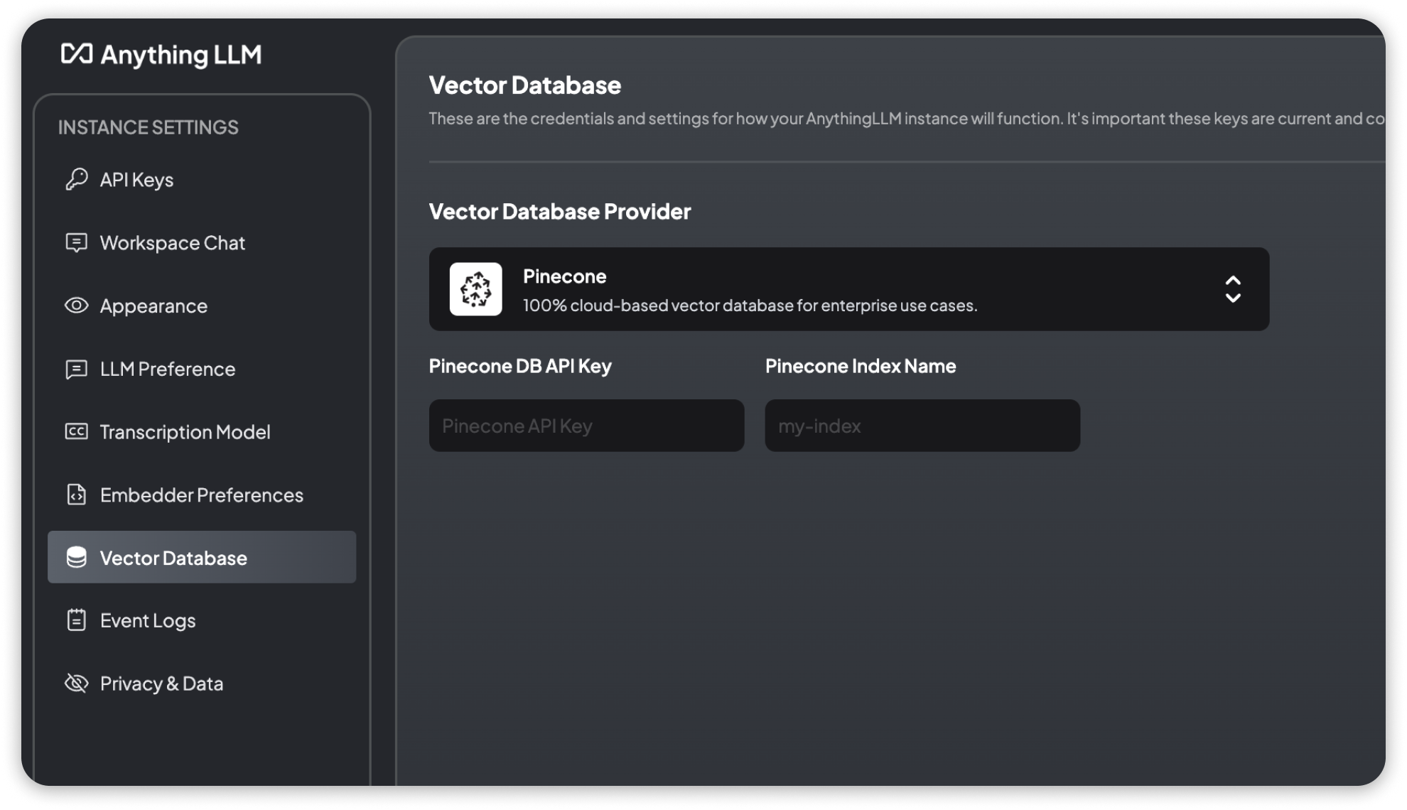 Pinecone Vector Database Settings