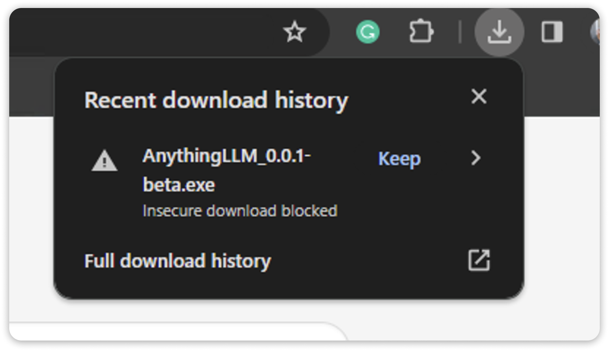 AnythingLLM Linux Install Browser Warning